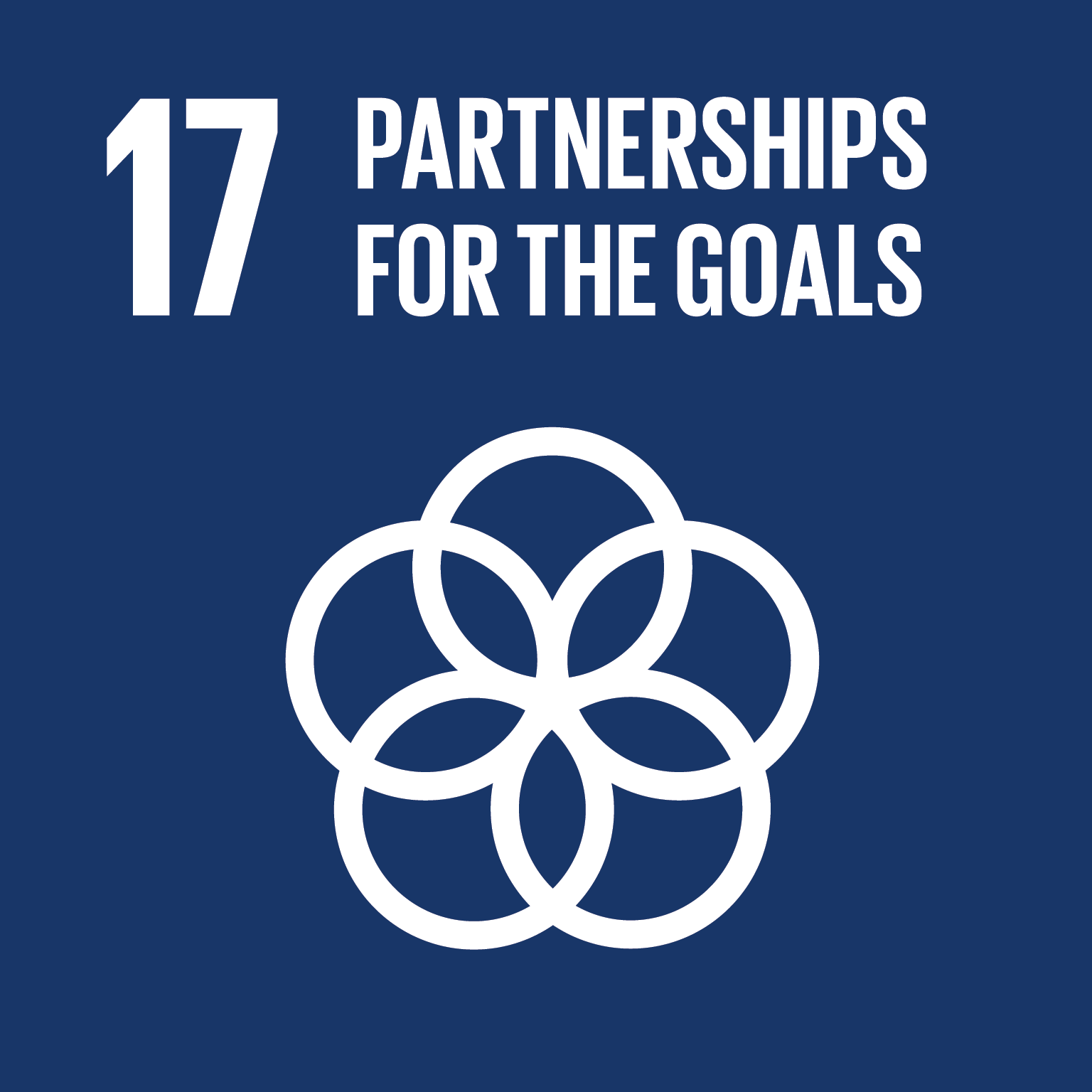 Obiettivo 17 - Partnership globali